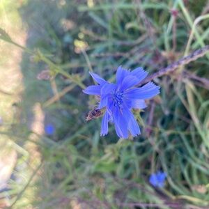 Meet your Posher, Baylee